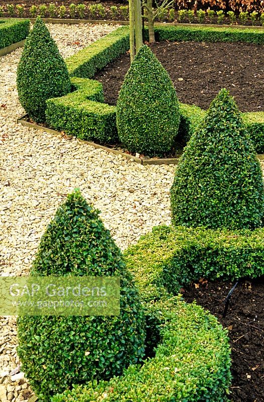 Potager with clipped box hedges and cones and Cotswold stone path - Sheephouse, Gloucestershire, NGS