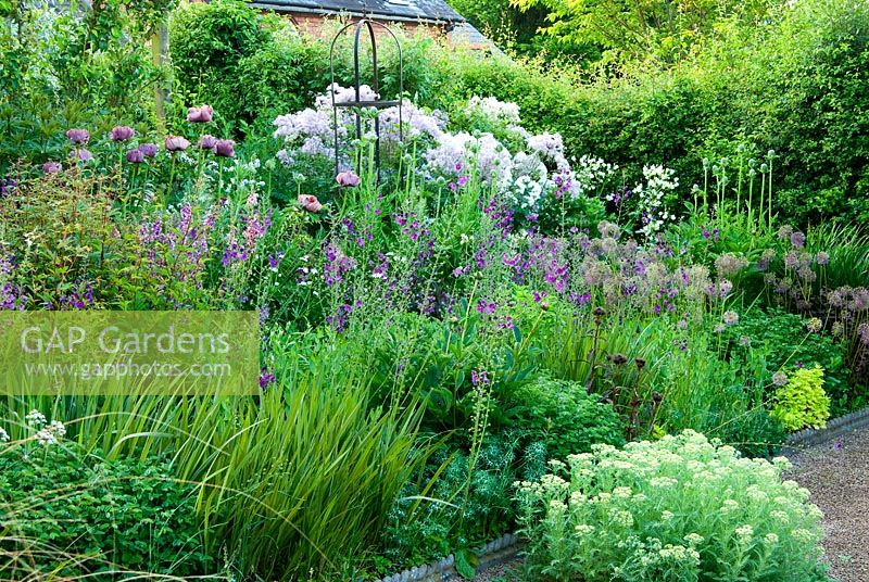 Border of purples and whites includes Papaver orientale 'Patty's Plum', Verbascum phoeniceum 'Violetta', Alliums and Thalictrum - Ivy Croft, Leominster, Herefordshire, UK