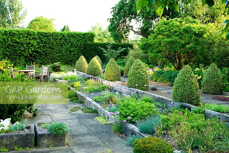 Raised beds made with weathered railway sleepers and mulched with slate. A path behind is framed with two lines of Buxus sempervirens 'Elegantissima' clipped into cones - Ivy Croft, Leominster, Herefordshire, UK