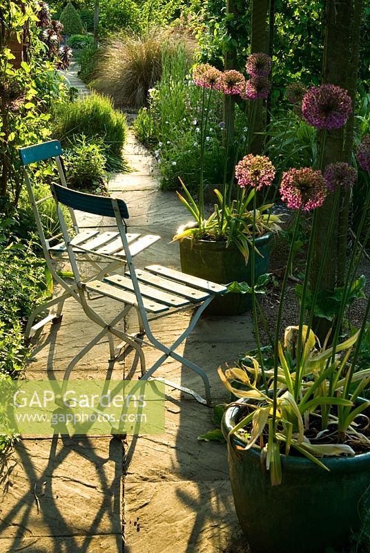 Garden chairs on path below pergola surrounded by pots of Allium 'Purple Sensation' - Ivy Croft, Leominster, Herefordshire, UK
