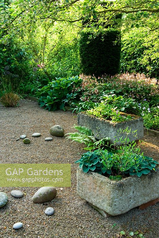 Shady garden features tufa planters containing hostas and hepaticas placed on gravel below Malus hupehensis. Ivy Croft, Leominster, Herefordshire, UK