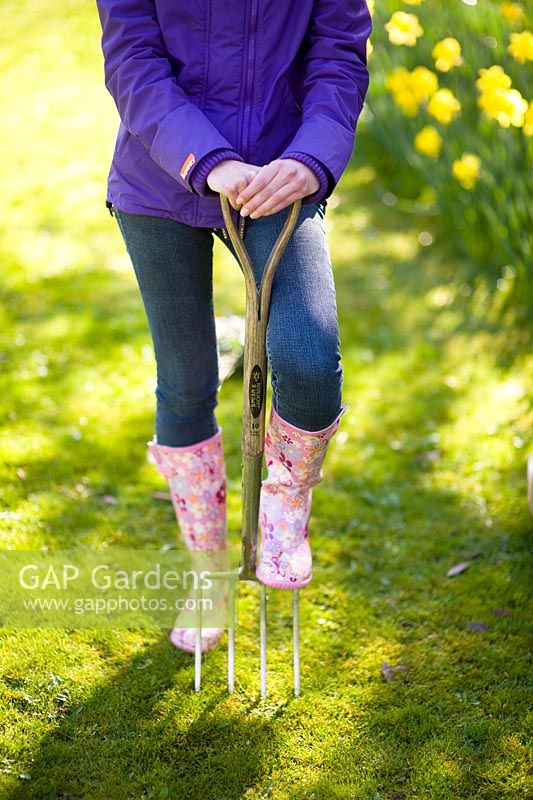 Woman with patterned wellies aerating a lawn in spring 