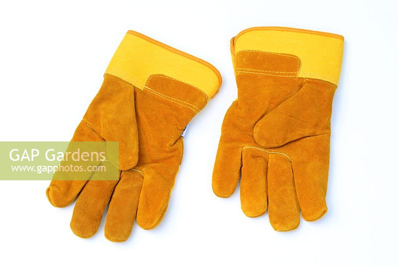 Gardening gloves 