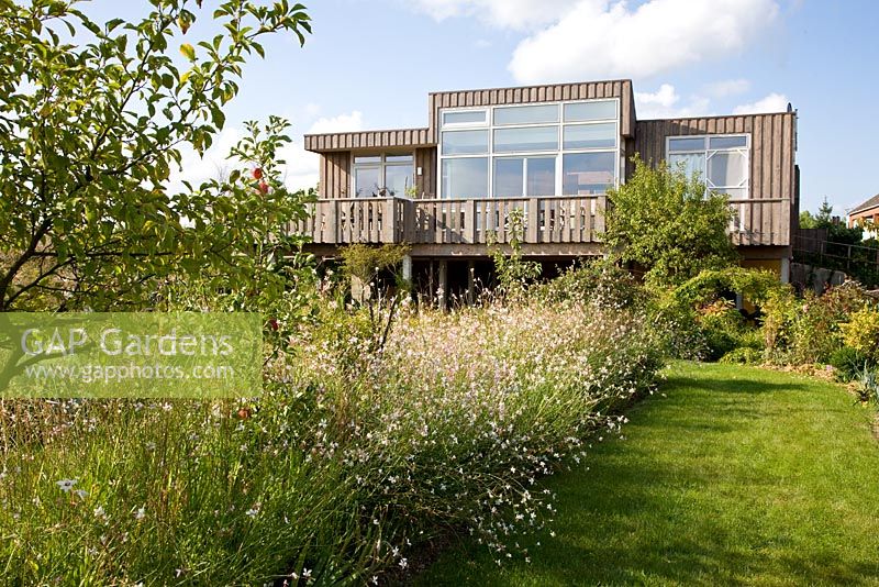 Wooden house overlooking natural planting of Gaura lindheimeri and Malus