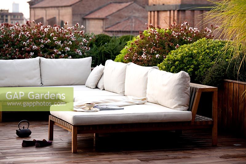 Terrace in Ferrara with sofas with planting 'Abelia compacta', 'Ilex Crenata' and Trachelospermum jasminoides'