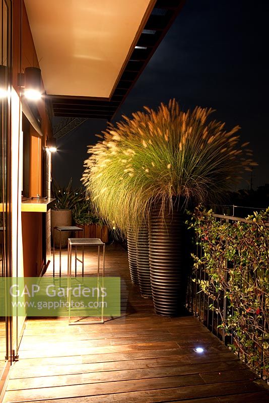 Containers of Pennisetum 'alopecuroides'at night next to seating area - Terrace in Ferrara,Italy 