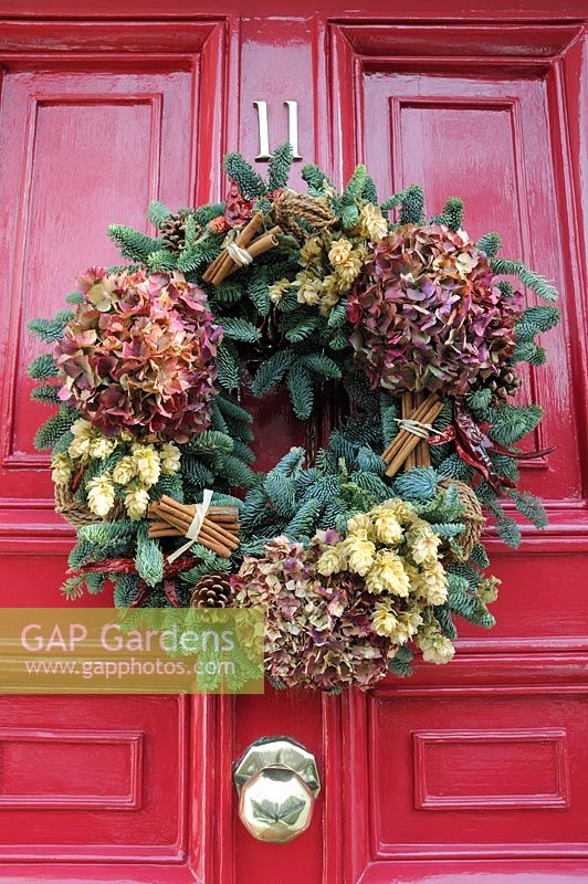 Christmas wreath made of conifer greenery and decorated with dried Hydrangea flowers, hops, cinnamon sticks, pine cones and coils of string on a red Georgian door