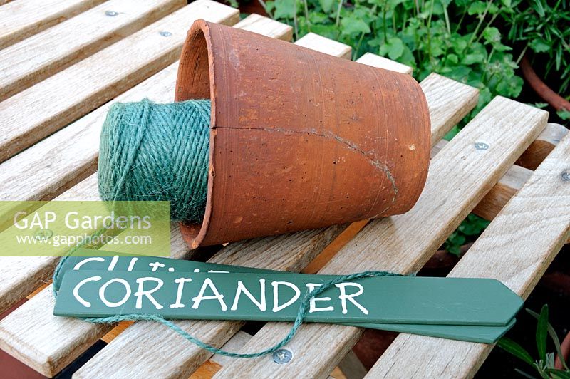 Plant label for the Coriander with old, cracked terracotta plant pot and green twine