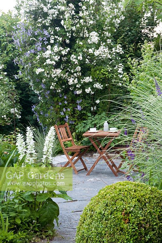 Clematis viticella 'Prinz Charles', Rosa 'Seagull', Salvia sclarea 'Alba', Buxus sempervirens, Miscanthus sinensis 'Morning Light' with seating area