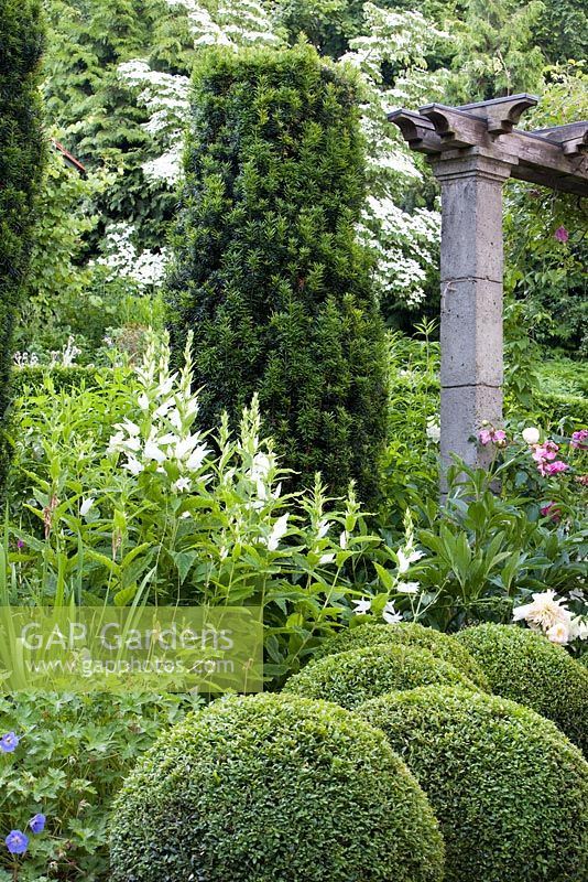 Stone arch, Campanula latifolia, Taxus - Yew columns, Buxus sempervirens - Box balls, Geranium 'Roxanne'