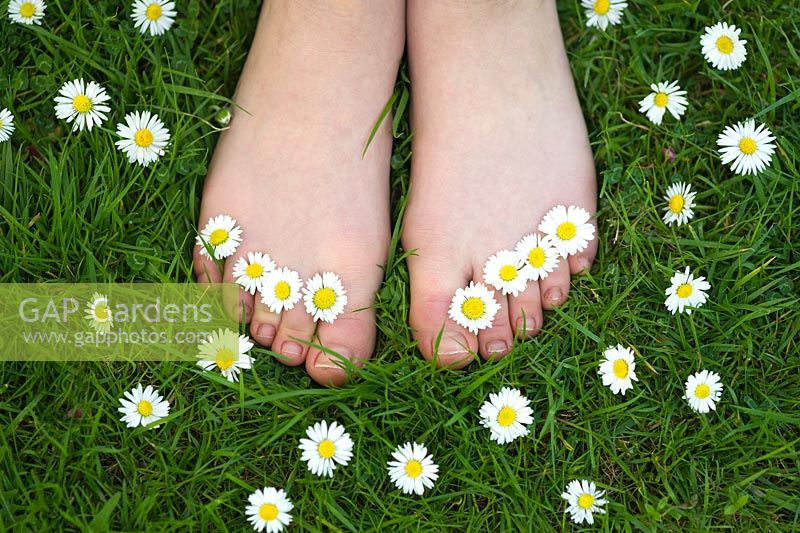 Girl standing barefoot on a lawn with a daisy between the toe of each foot