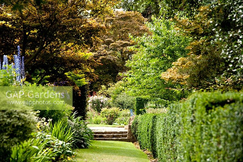 Yellow border - Kiftsgate Court Garden, Chipping Campden, Gloucestershire, UK
