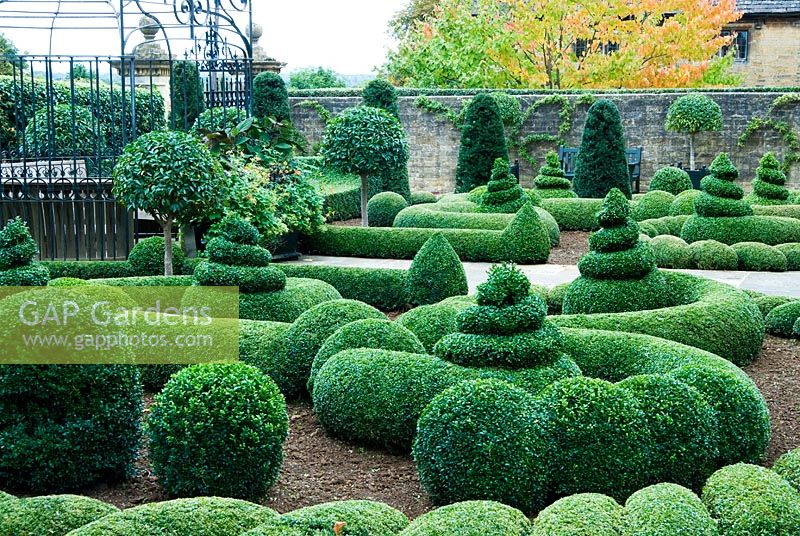 Clipped Buxus - Box and Taxus - Yew in the Parterre Garden with  standard Laurels and a gazebo and gates by Richard Overs. Bourton House, Bourton-on-the-Hill, Moreton-in-Marsh, Glos, UK