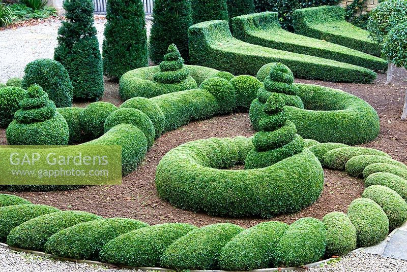 Clipped Buxus - Box and Taxus - Yew in the Parterre Garden. Bourton House, Bourton-on-the-Hill, Moreton-in-Marsh, Glos, UK
