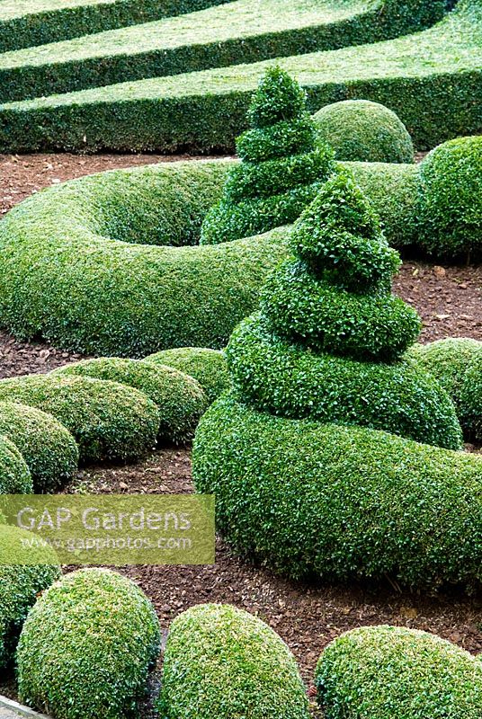 Tightly clipped swirls of Buxus - Box in the Parterre Garden. Bourton House, Bourton-on-the-Hill, Moreton-in-Marsh, Glos, UK

