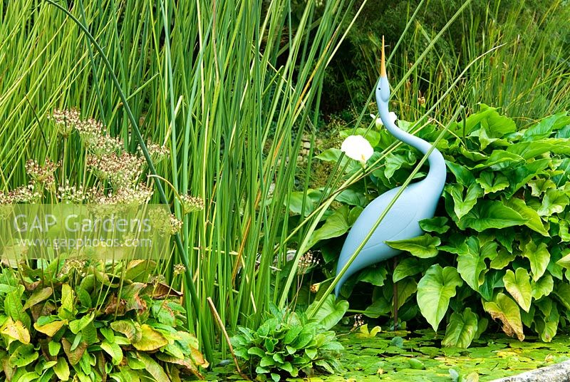 Heron by Michael Lythgoe in basket pond from the 1851 Great Exhibition, the centre piece of the Knot garden. Bourton House, Bourton-on-the-Hill, Moreton-in-Marsh, Glos, UK