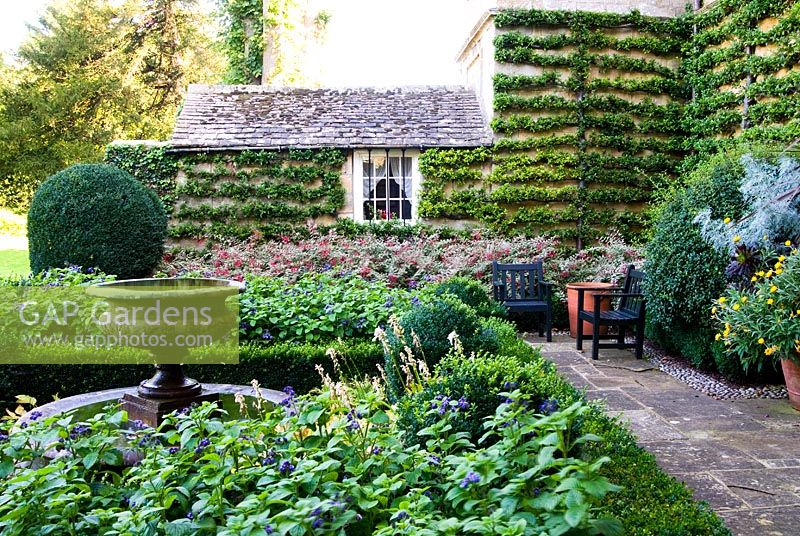 The Fountain Garden contained by walls covered by trained Pyracantha and Buxus - Box edged beds containing variegated Fuchsia and purple Heliotrope. Bourton House, Bourton-on-the-Hill, Moreton-in-Marsh, Glos, UK