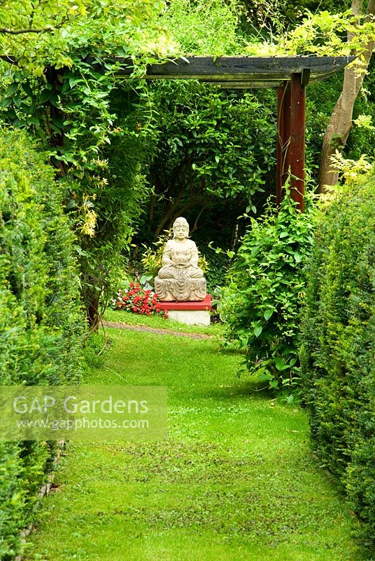 View of Chinese buddha at end of Dragon pergola with Wisteria sinensis 'Alba', Akebia quinata, Clematis and Lonicera - Honeysuckle. Beggars Knoll, Newtown, Westbury, Wiltshire, UK