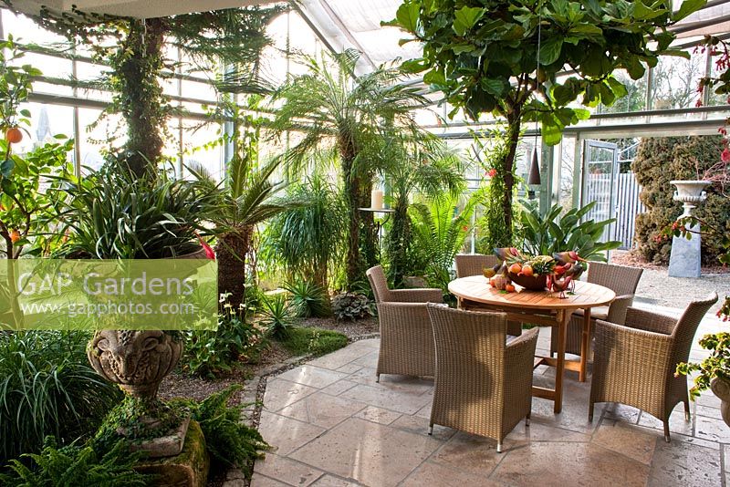 View into the glasshouse with tropical climate, wicker chairs and wooden table with a fruit arrangement. Planting includes Anthurium andreanum, Araucaria heterophylla, Beaucarnea recurvata, Billbergia nutans, Citrus sinensis, Cycas revoluta and Phoenix roebelinii - Wintergarten, Germany