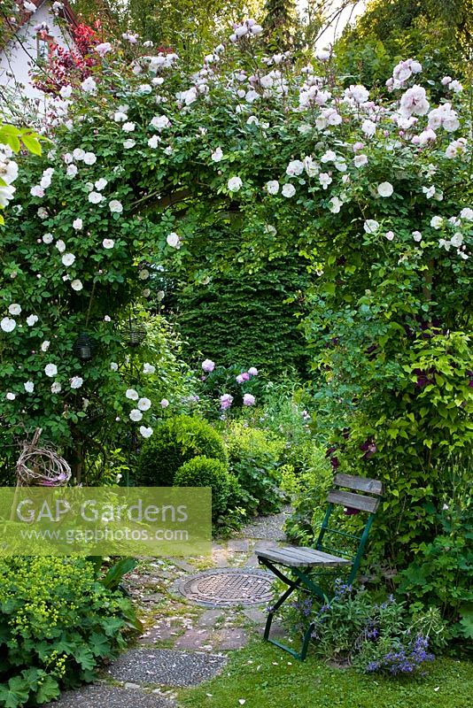 Romantic garden with Rose arch over a circular patio and wooden chair. Planting includes Rosa 'Venusta Pendula', Alchemilla mollis, Buxus, and Clematis 'Warzawska Nike'