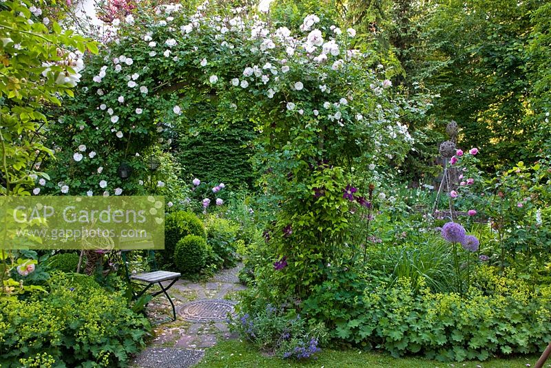 Romantic garden with Rose arch over a circular patio and wooden chair. Planting includes Rosa 'Venusta Pendula', Alchemilla mollis, Buxus and Clematis 'Warzawska Nike' 

