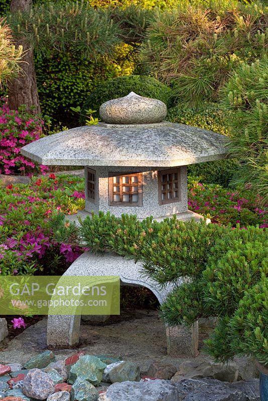 Stone lantern in a Japanese garden - Azalea japonica and Pinus sylvestris