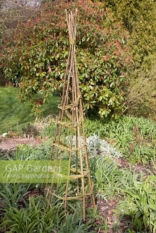 Obelisk for climbing plants. Hazel verticals with woven willow.