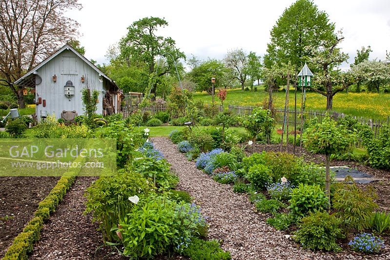 Combination of vegetables, fruit, annuals and perennials in a formal layout. Low clipped box hedges and mulched pathways give structure, surrounded by pastures with fruit trees and wooden shed