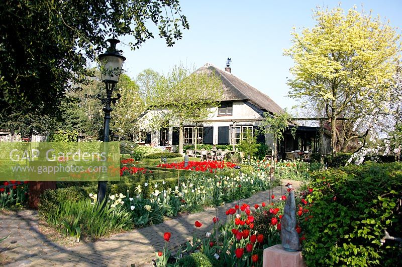 View of the house with parterre with Tulips in the foreground at Bed and breakfast de Lievendael in Velp, Brabant, Holland