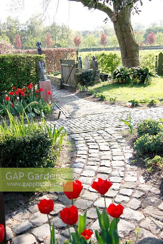 Spring garden with borders of Tulips and path at Bed and breakfast de Lievendael in Velp , Brabant , Holland
