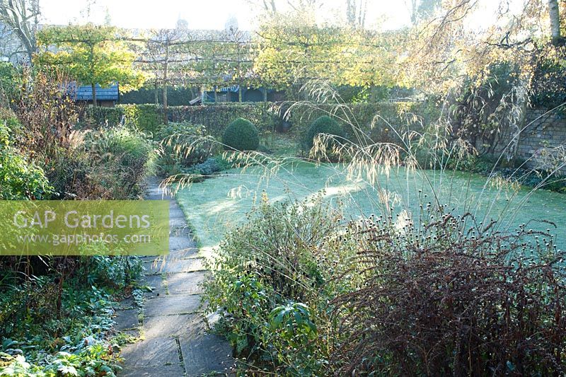 Garden in early Autumn with Stipa gigantea - 26, St Barnabas Road, Cambridge