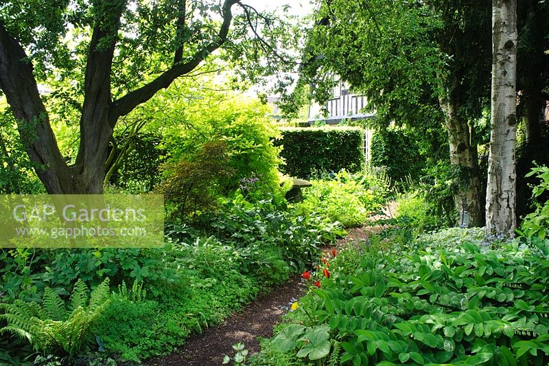 The Shade Garden. Wollerton Old Hall, Shropshire