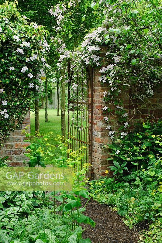 Wrought iron gate in brick wall with Clematis montana - The Shade Garden, Wollerton Old Hall, Shropshire