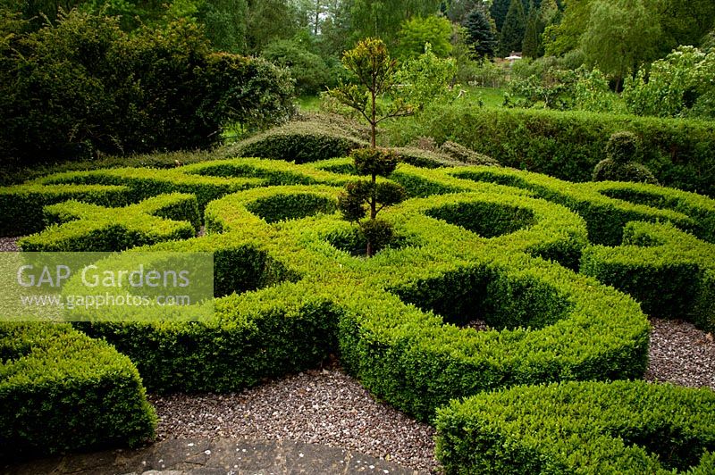 A Buxus Parterre and Knot Garden - Tilford Cottage, Surey 