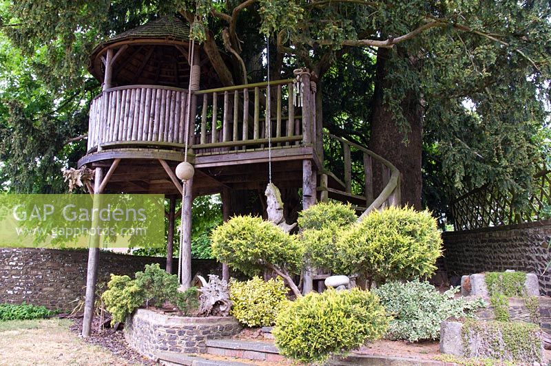 Tree house built in Yew tree - Tilford Cottage, Surrey