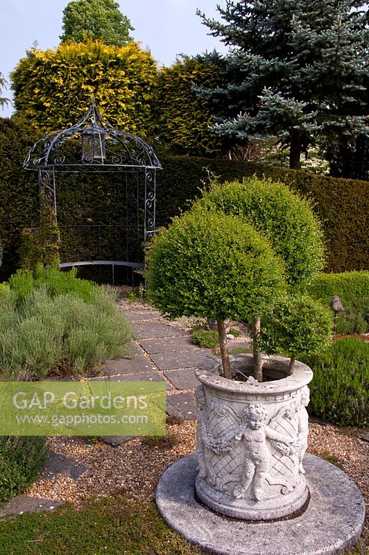 The Secret Herb Garden, with clipped Privet in Urn with decorative Arbour and Yew Hedge - Tilford Cottage, Surrey