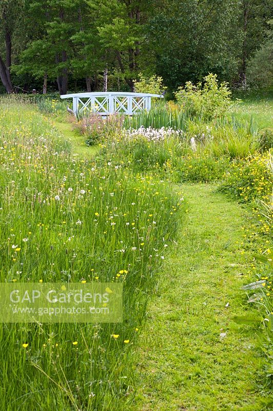 The bog garden, with Monet style bridge and sculpture of silver balls rolling into water, planted with Irises, wildflower meadow and mown path - Tilford Cottage, Surrey 