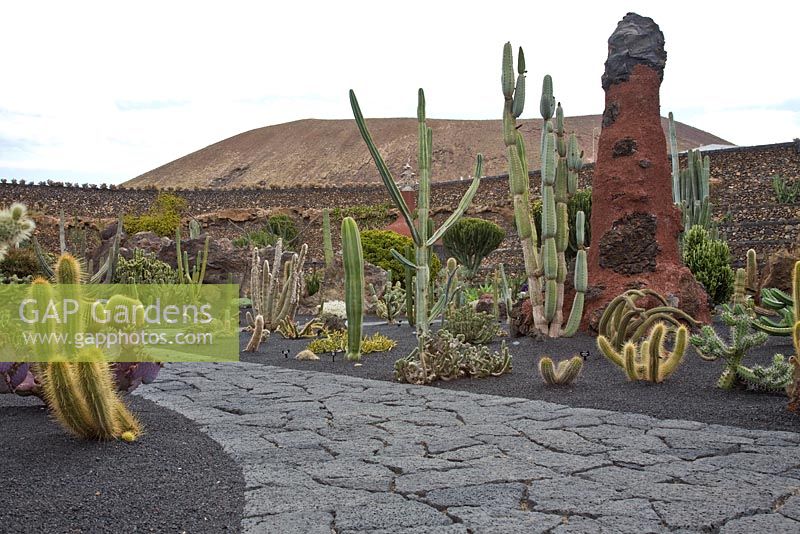 El Jardin de Cactus, Lanzarote, Canary Islands