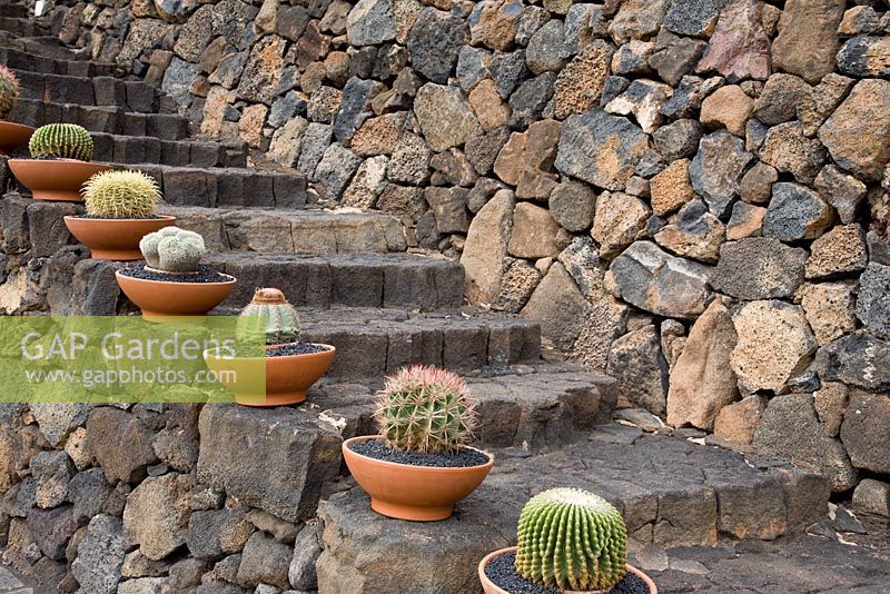 Lava stone steps, edged with clay pots planted with Cacti variety, including Ferocactus - El Jardin de Cactus, Lanzarote, Canary Islands