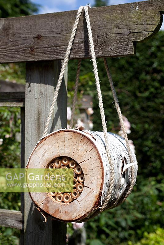 Suspended insect house - birch and bamboo