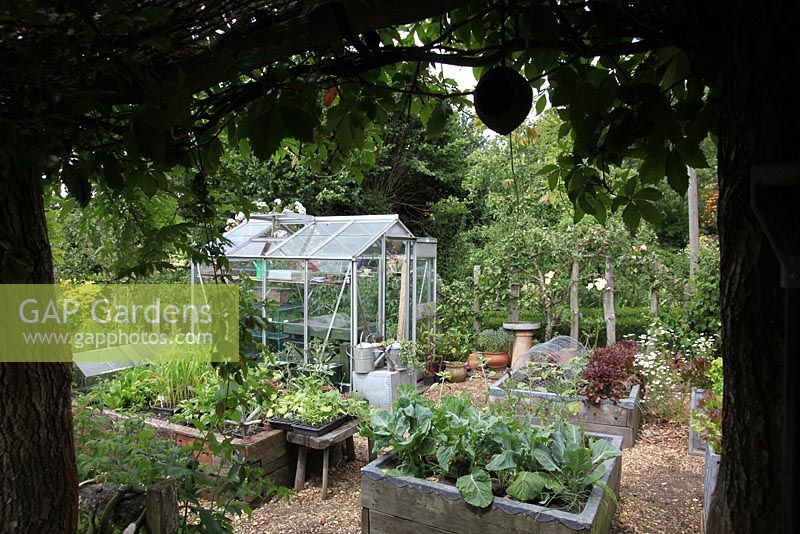Raised Vegetable beds with greenhouse - Godshill Open Gardens