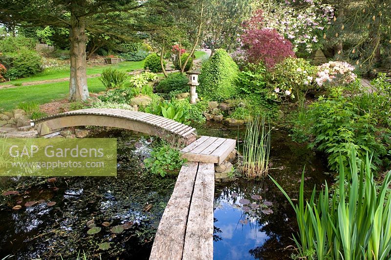 Arched wooden bridge spanning the pond of the Japanese garden at Cloud Cottage