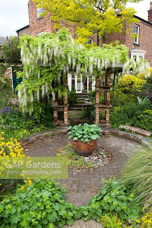 View towards the house over Hosta filled pot by Svend Bayer with Erysimums and Stipa giganteum grass with Wisteria 'Snow Showers' - 17 Poplar Grove