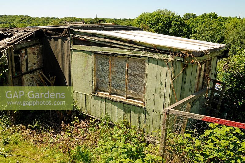 Green painted distressed allotment shed
