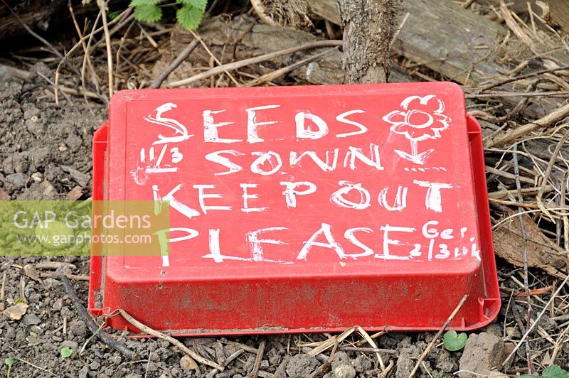 Red upturned cat litter tray with seeds sown keep out please written on the back