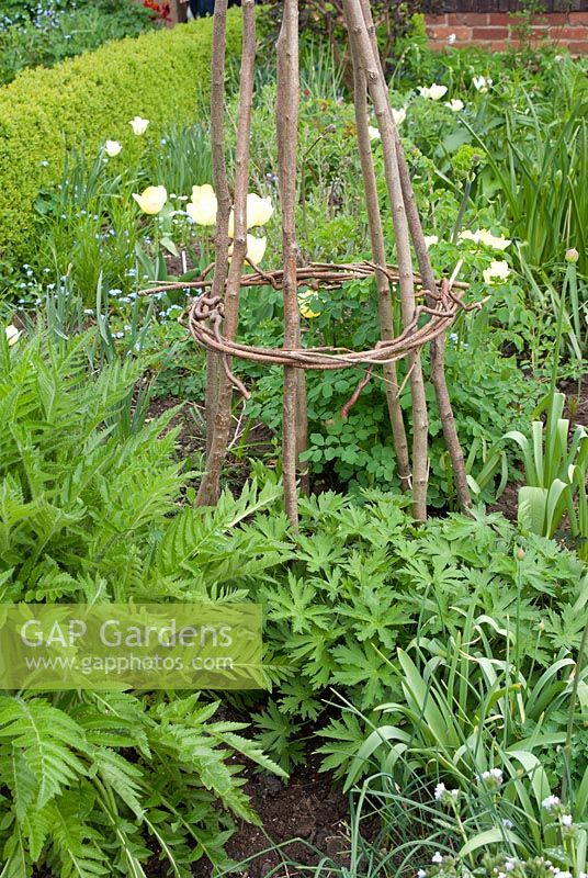 Spring border with wigwam plant support