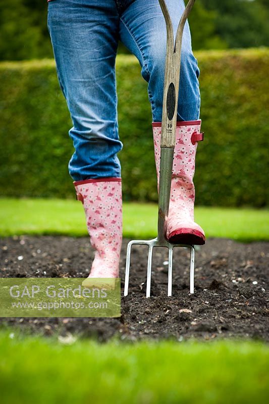 Woman wearing blue jeans and wellies using a garden fork to dig 