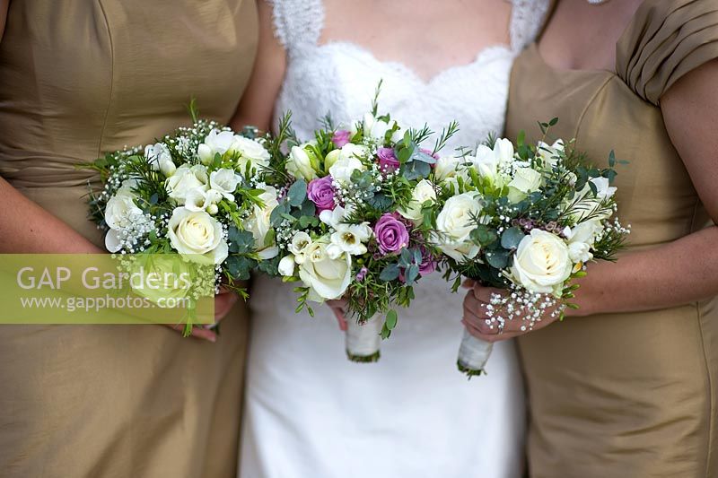 Bride and bridesmaids holding bouquets of white and purple roses