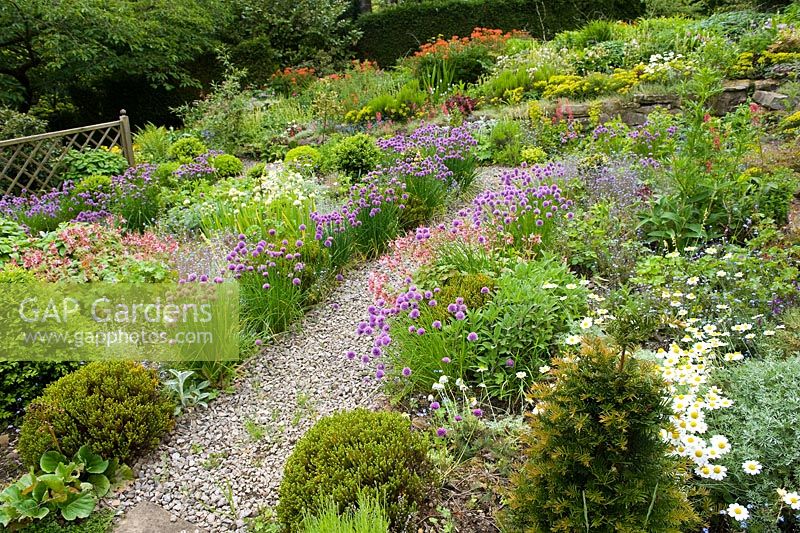 Low growing flower and herb beds with chives, alliums, forget me nots, sage, thyme and conifers, separated by gravel pathways at Cherry Hill garden