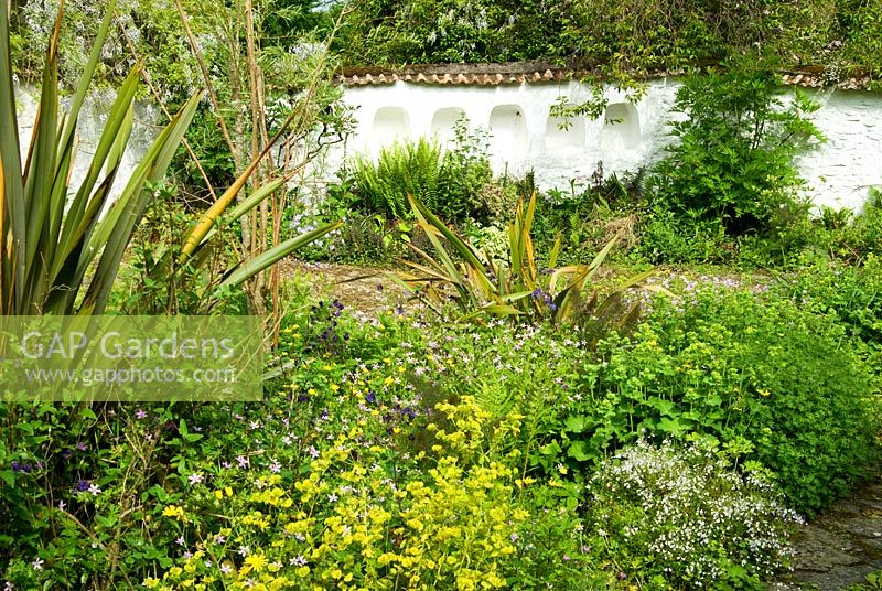 Bee boles in courtyard wall with mounds of Geraniums, Euphorbia and Alchemilla with spikey Phormiums in the foreground. Hidden Valley Nursery, Old South Heale, High Bickington, north Devon, UK